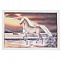 Картина «Лошадь» в серебристой раме с логотипом  заказать по выгодной цене в кибермаркете AvroraStore