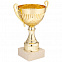 Кубок Dazzle, золотистый с логотипом  заказать по выгодной цене в кибермаркете AvroraStore