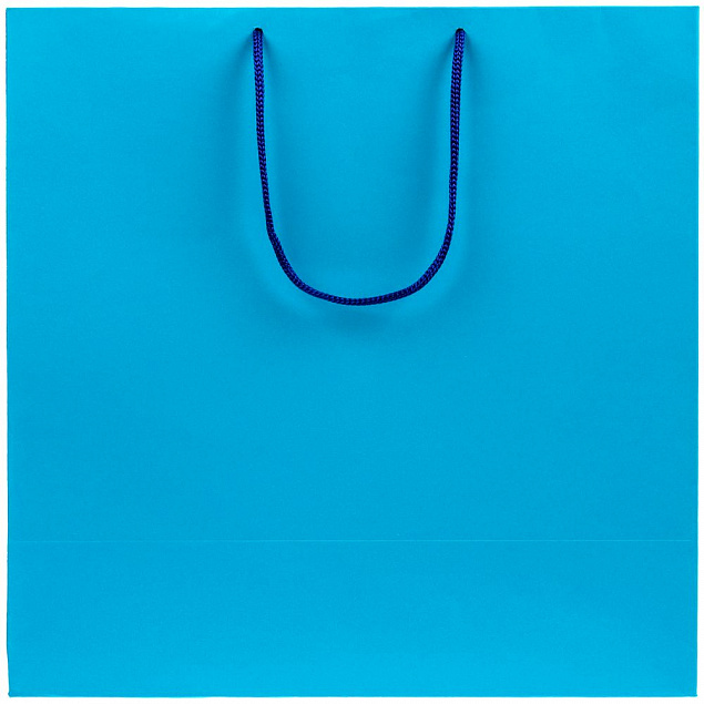 Пакет Porta, большой, голубой с логотипом  заказать по выгодной цене в кибермаркете AvroraStore