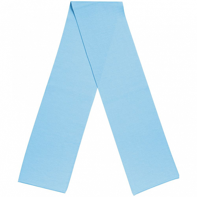 Шарф Real Talk, голубой с логотипом  заказать по выгодной цене в кибермаркете AvroraStore