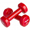 Гантель Heracles 1 кг, красная с логотипом  заказать по выгодной цене в кибермаркете AvroraStore